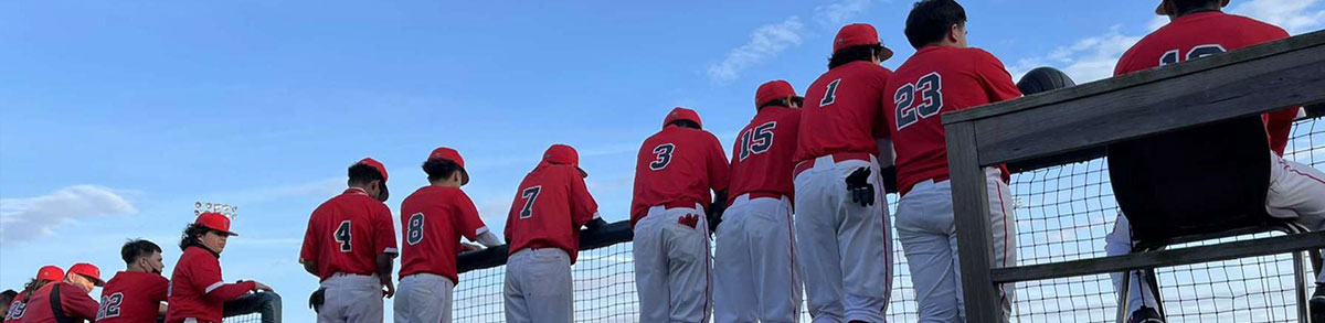 Baseball team standing at railing watching the game